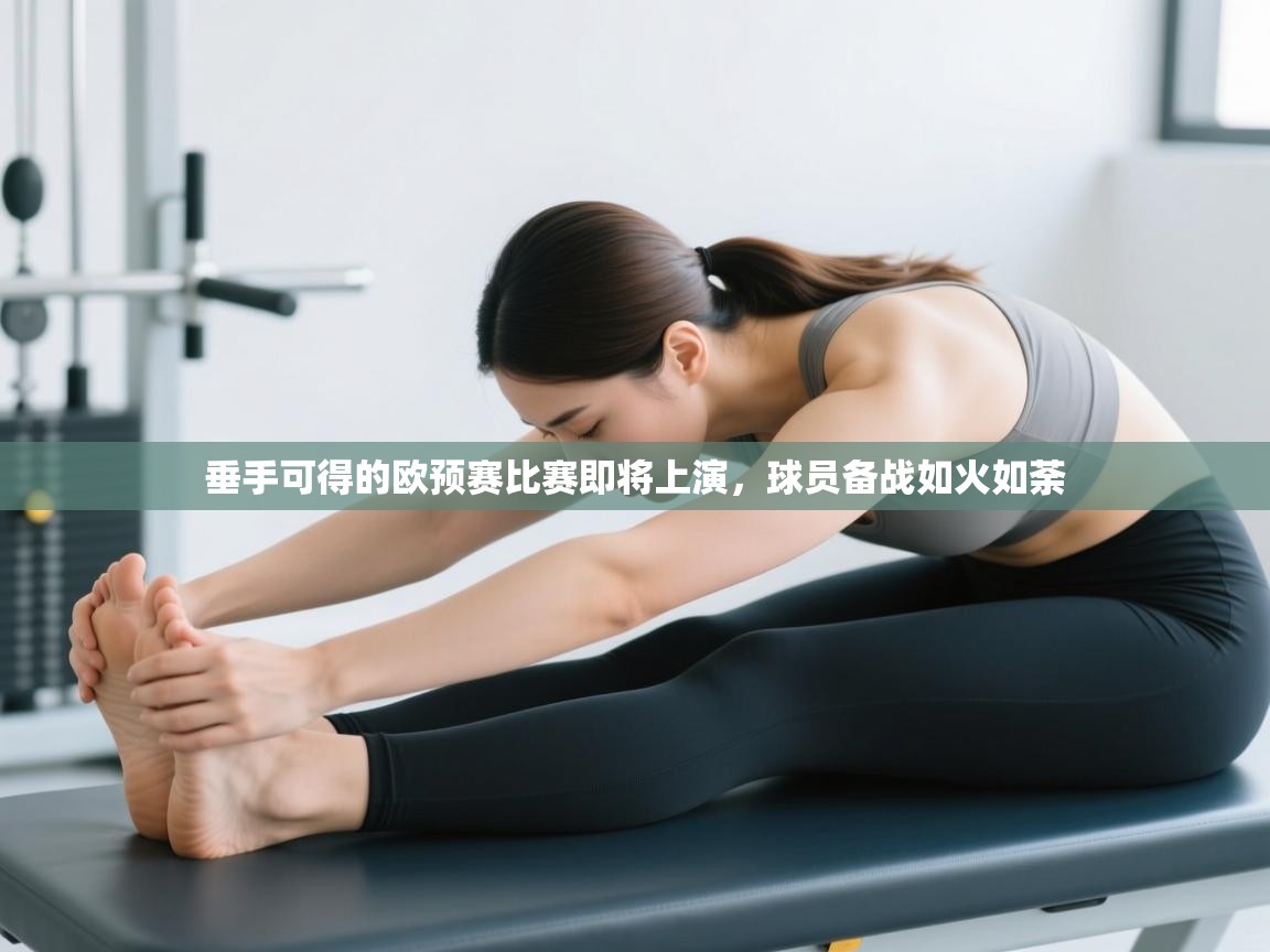 开云体育在线-垂手可得的欧预赛比赛即将上演，球员备战如火如荼  第1张