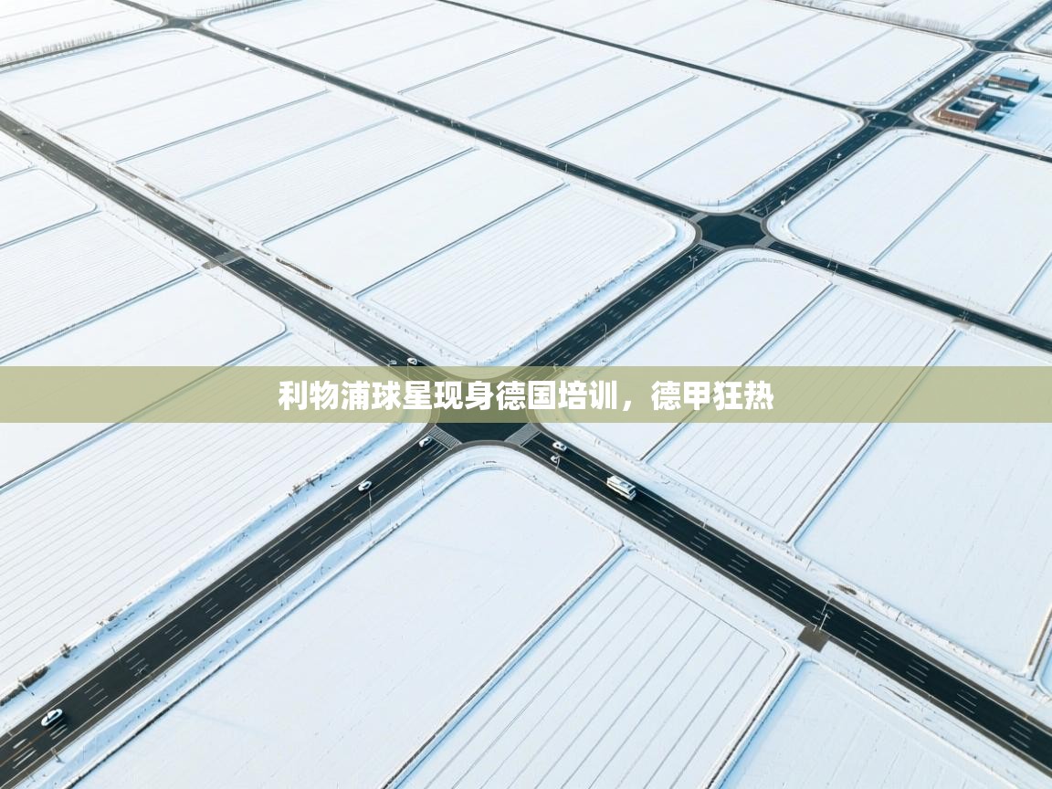 开云体育在线登入-利物浦球星现身德国培训，德甲狂热  第2张