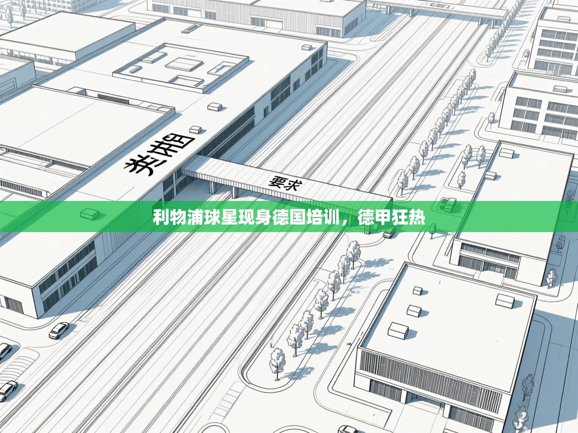 开云体育在线登入-利物浦球星现身德国培训，德甲狂热  第3张