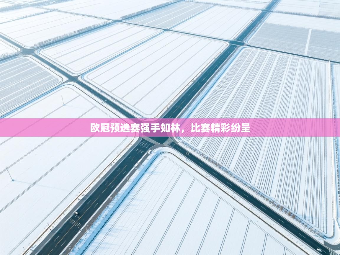 开云体育注册下载-欧冠预选赛强手如林，比赛精彩纷呈  第1张