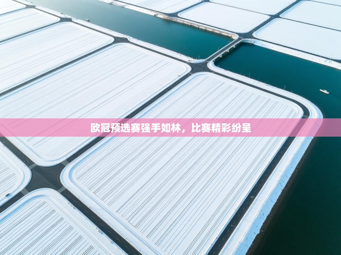 开云体育注册下载-欧冠预选赛强手如林，比赛精彩纷呈  第2张