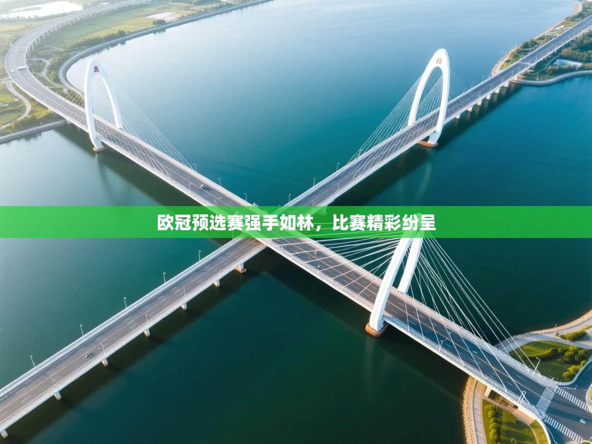 开云体育注册下载-欧冠预选赛强手如林，比赛精彩纷呈  第3张