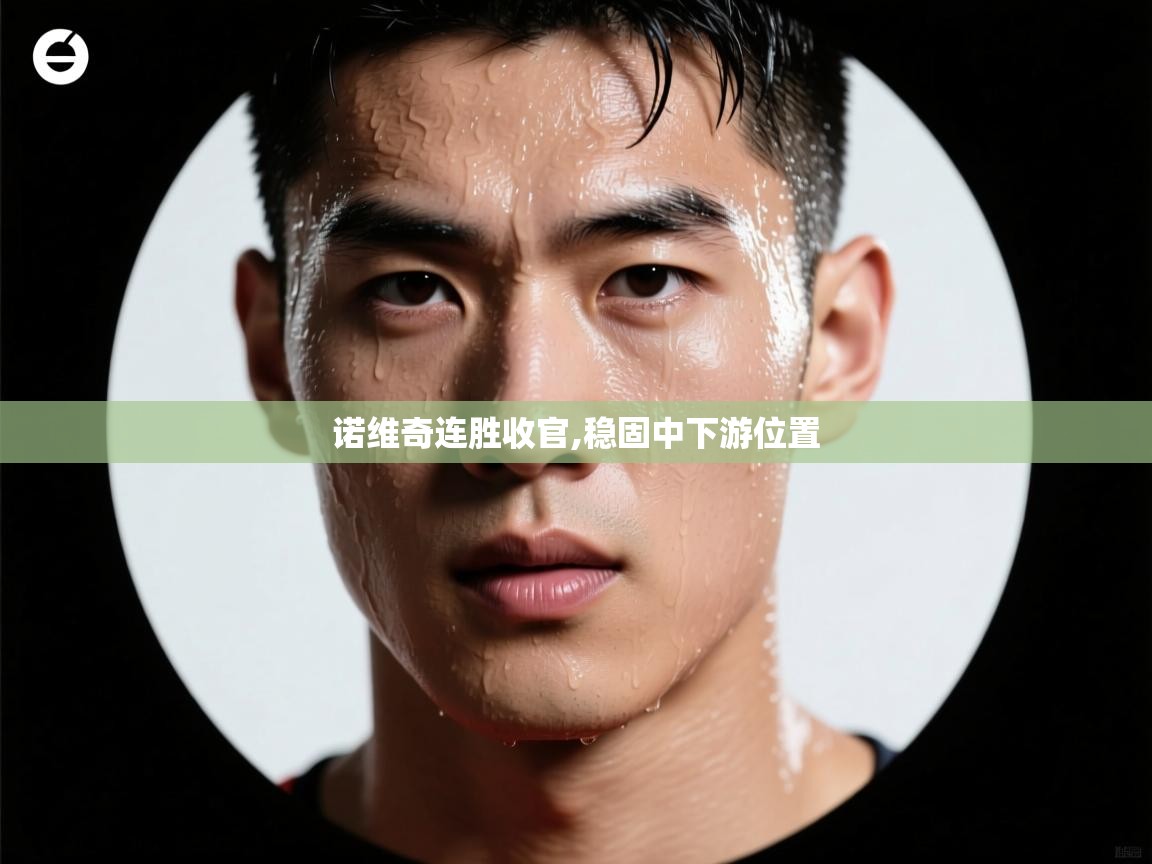 开云体育实名认证入口-诺维奇连胜收官,稳固中下游位置  第2张