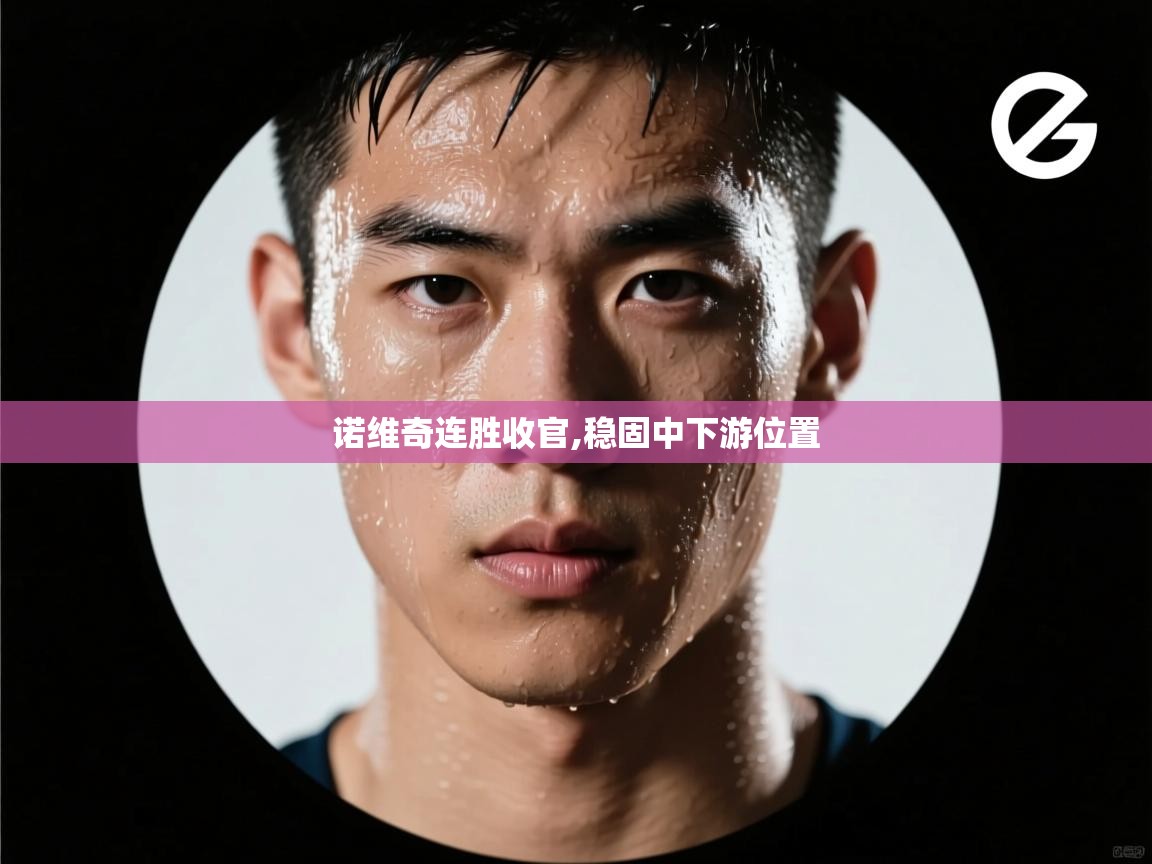 开云体育实名认证入口-诺维奇连胜收官,稳固中下游位置  第3张