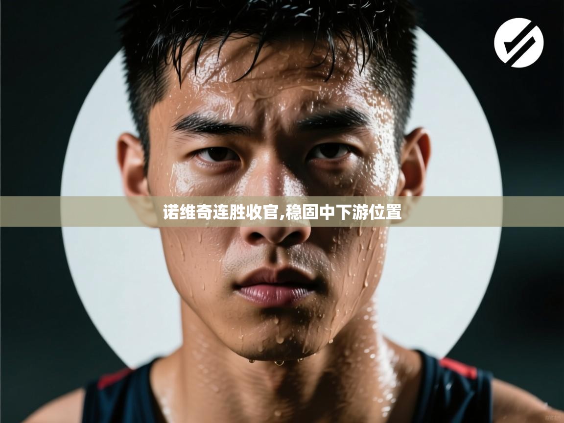 开云体育实名认证入口-诺维奇连胜收官,稳固中下游位置  第4张