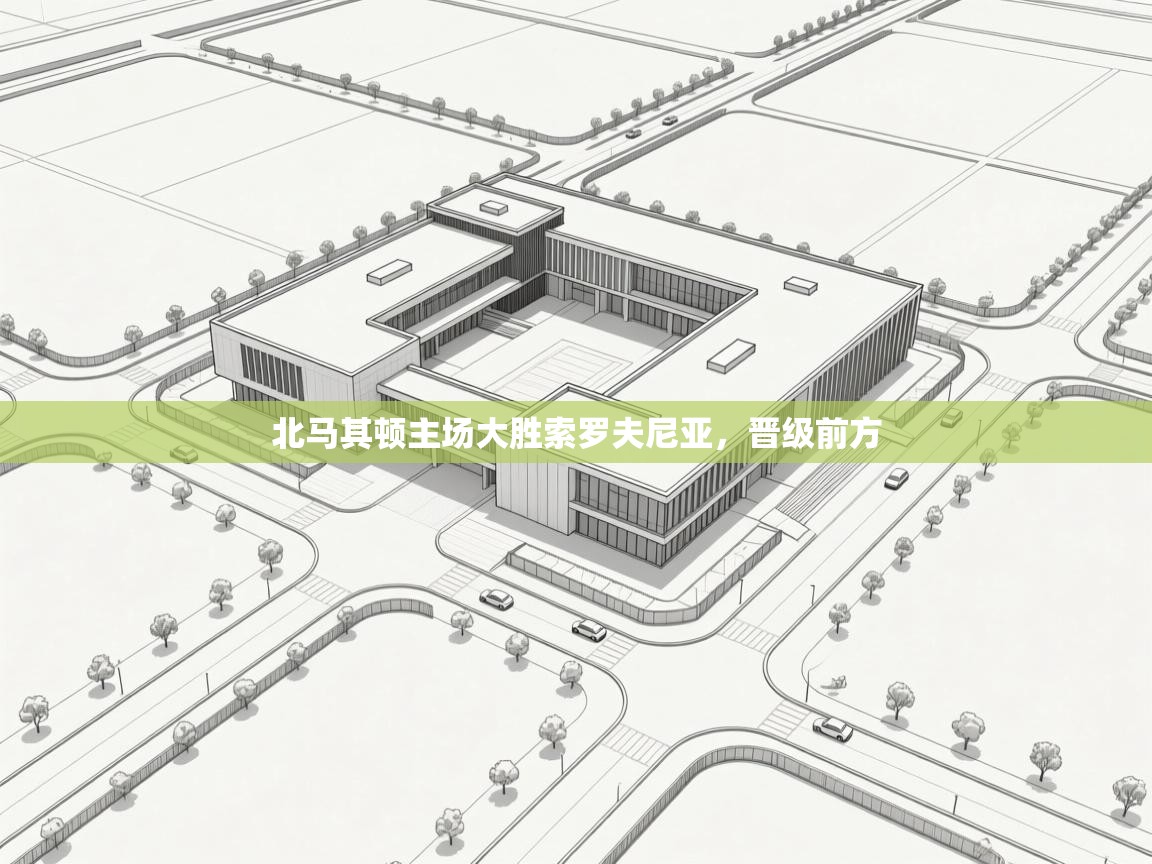 开云体育在线下载-北马其顿主场大胜索罗夫尼亚，晋级前方  第2张