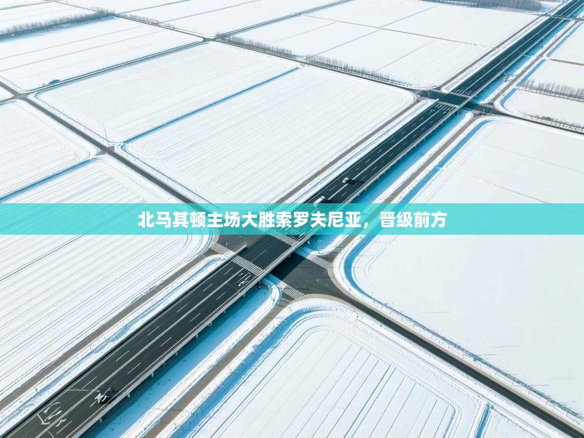 开云体育在线下载-北马其顿主场大胜索罗夫尼亚，晋级前方  第1张