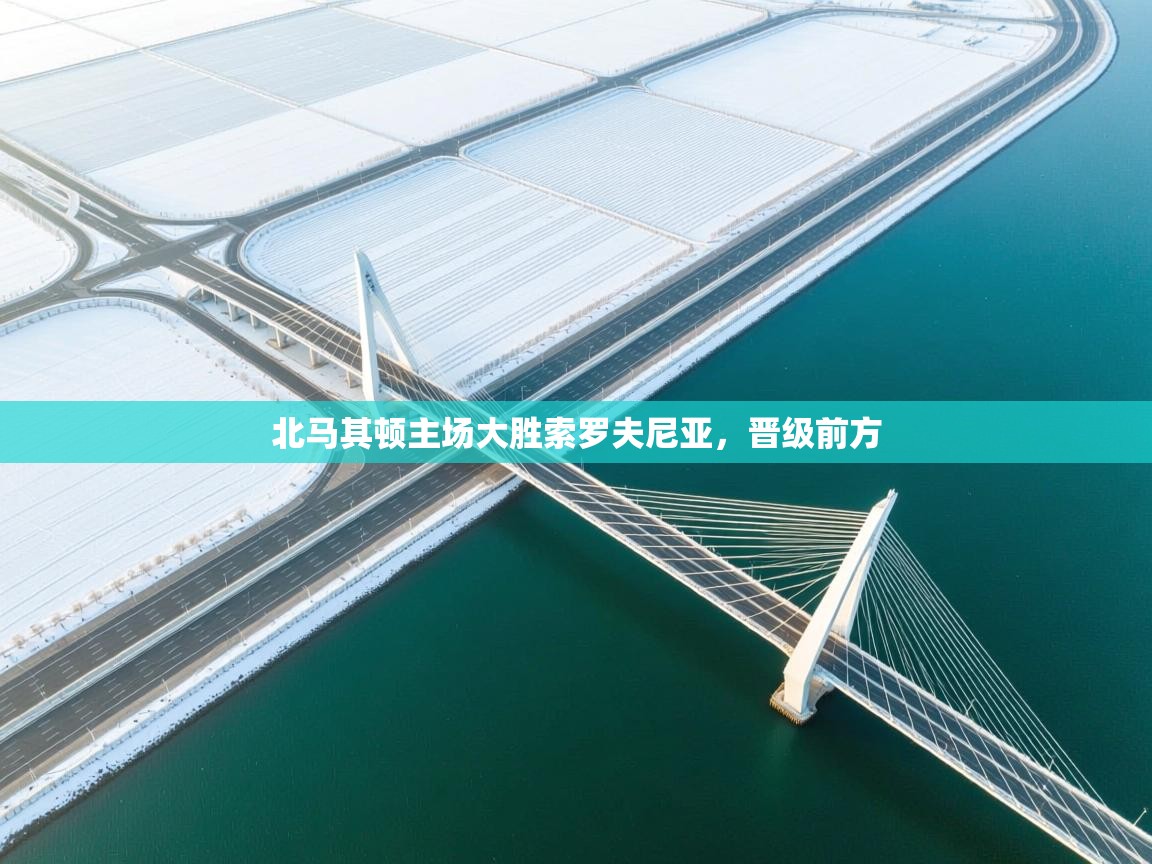 开云体育在线下载-北马其顿主场大胜索罗夫尼亚，晋级前方  第3张