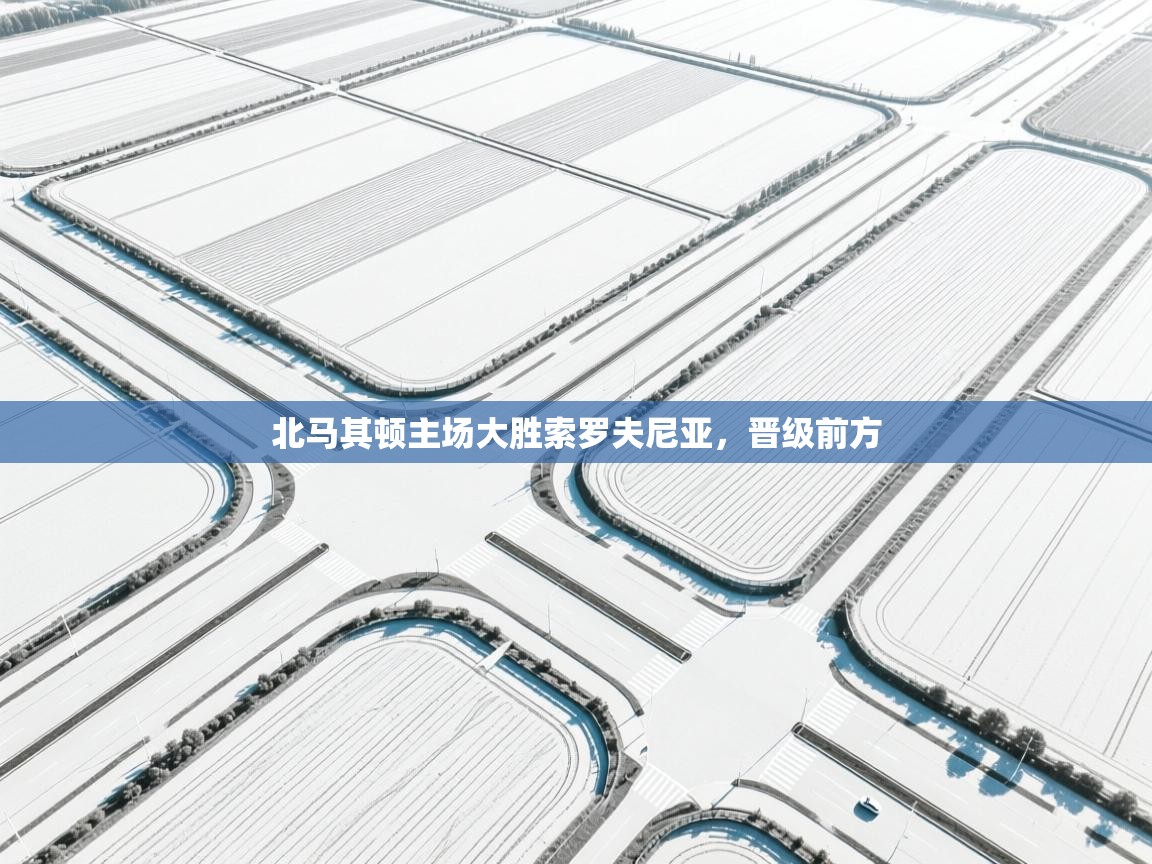 开云体育在线下载-北马其顿主场大胜索罗夫尼亚，晋级前方  第4张